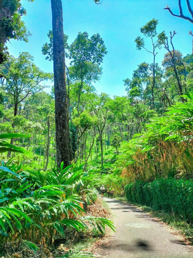 Mystic Mayapott, Thekkady Exterior foto